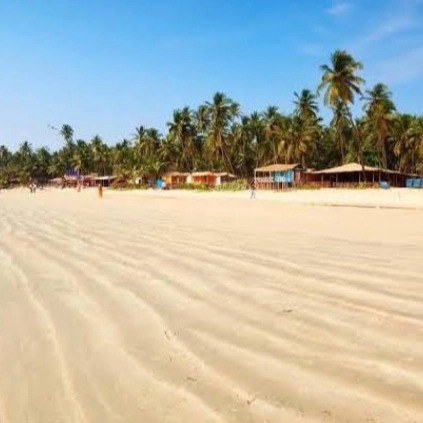 Packers movers Goa