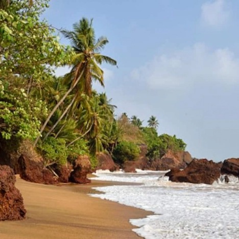 Packers movers Kannur