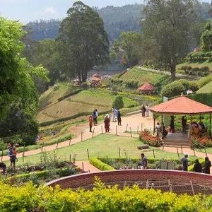 Packers movers Ooty